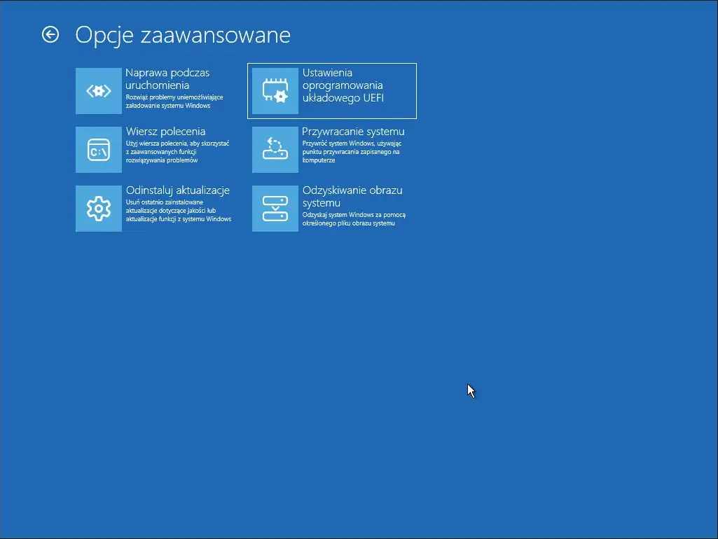 Recovery systemu Google